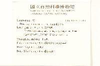 鵝仔草藏品圖，第2張