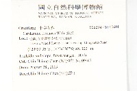 焊菜藏品圖，第2張