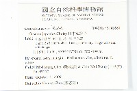 日本菟絲子藏品圖，第2張