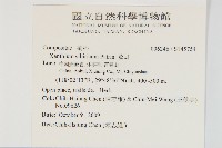 蒼耳藏品圖，第2張