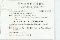 飛蛾藤藏品圖，第2張
