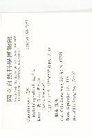 垂果瓜藏品圖，第2張