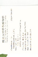 垂果瓜藏品圖，第2張