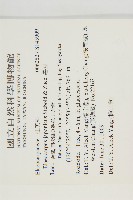 薯豆藏品圖，第2張