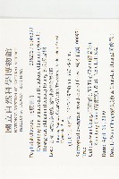 奧氏虎皮楠藏品圖，第2張