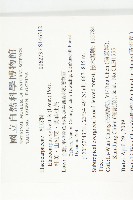 杜英、山杜英、蘭嶼杜英藏品圖，第2張