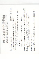 軟毛柿藏品圖，第2張