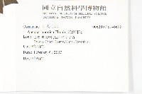 東瀛珊瑚藏品圖，第2張