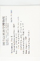 水石榕藏品圖，第3張