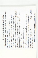 佛手瓜、梨瓜、香木緣瓜藏品圖，第2張