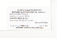 獨行菜藏品圖，第2張