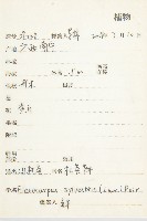 杜英、山杜英、蘭嶼杜英藏品圖，第2張