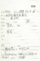 播娘蒿藏品圖，第2張