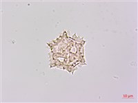 登錄號:S148224藏品圖，第3張