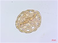 登錄號:S148226藏品圖，第3張