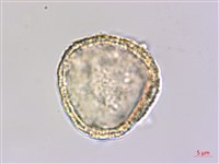 登錄號:S148248藏品圖，第3張