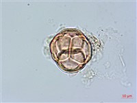 登錄號:S148254藏品圖，第3張