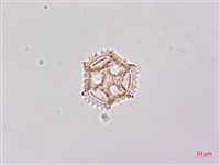 登錄號:S148266藏品圖，第1張