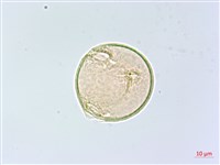 登錄號:S148296藏品圖，第3張
