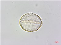 登錄號:S148308藏品圖，第3張