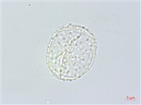 登錄號:S148309藏品圖，第3張