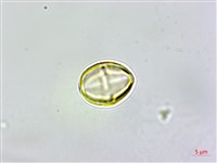 登錄號:S161822藏品圖，第3張