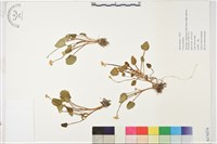 登錄號:S174374藏品圖，第1張