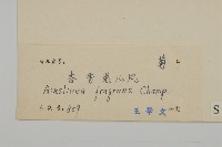 變葉懸鉤子藏品圖，第3張