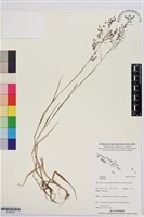 登錄號:S195679藏品圖，第1張