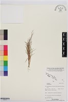 登錄號:S195711藏品圖，第1張