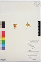 登錄號:S195893藏品圖，第1張