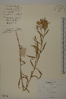 登錄號:S197586藏品圖，第1張