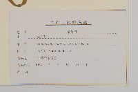 登錄號:S197586藏品圖，第3張