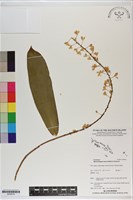 登錄號:S200016藏品圖，第1張