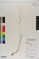 登錄號:S200021藏品圖，第1張