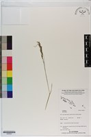 登錄號:S200022藏品圖，第1張