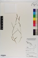 登錄號:S200023藏品圖，第1張