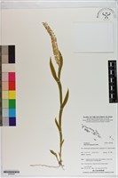 登錄號:S200048藏品圖，第1張