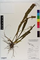 登錄號:S200079藏品圖，第1張