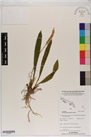 登錄號:S200093藏品圖，第1張