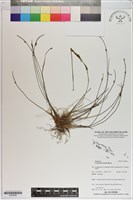 登錄號:S200096藏品圖，第1張