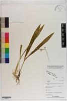 登錄號:S200114藏品圖，第1張