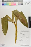 登錄號:S200119藏品圖，第1張