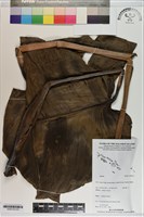 登錄號:S200143藏品圖，第2張