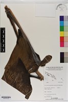 登錄號:S200143藏品圖，第3張