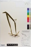 登錄號:S200149藏品圖，第1張