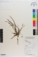 登錄號:S200174藏品圖，第1張