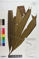 登錄號:S200201藏品圖，第1張