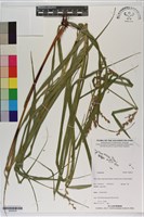 登錄號:S200234藏品圖，第1張