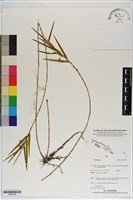 登錄號:S200238藏品圖，第1張